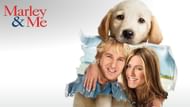 Marley & Me, based on John Grogan’s memoir (Image via Apple TV+)